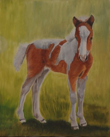 paintfoal.jpg