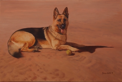 German Shepard dog lying on the ground.