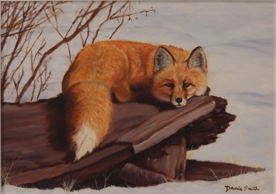 Coy little Fox on a log.